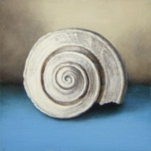 Small Whelk on Blue by Alex Dunwoodie